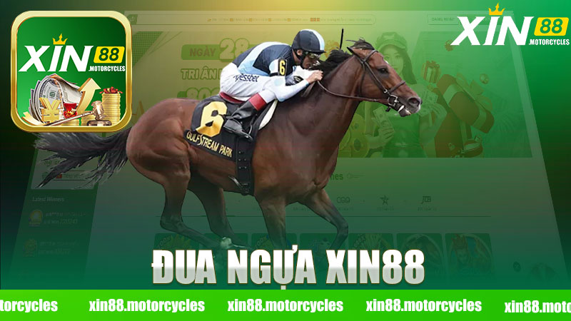 Đua ngựa nhà cái XIN88 - Khám Phá Thế Giới Cảm Xúc Đầy Kịch Tính